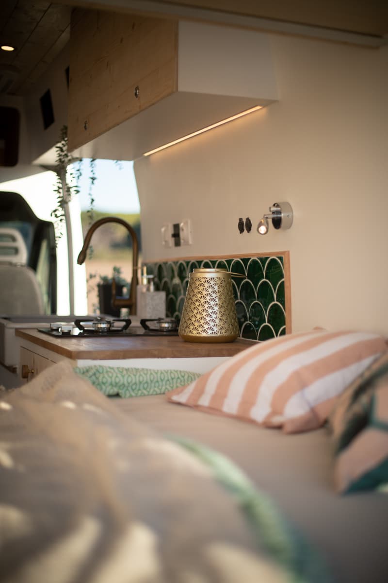 L'éléphant - Vue 1