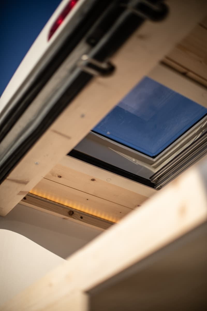 L'éléphant - Vue 11