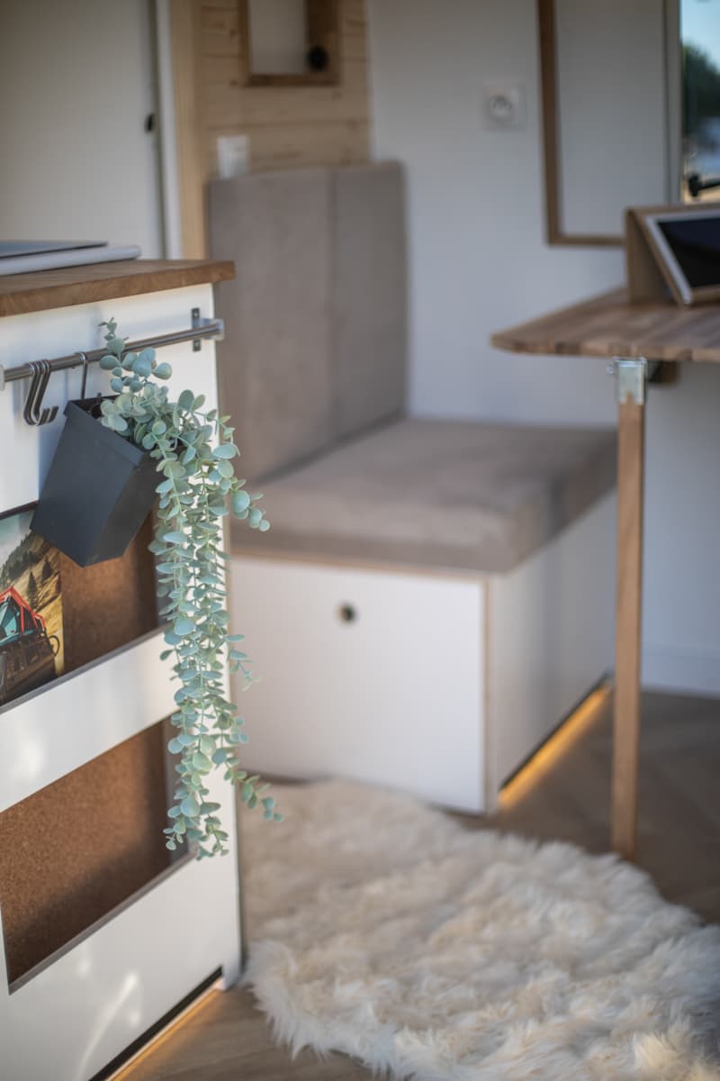 L'éléphant - Vue 12