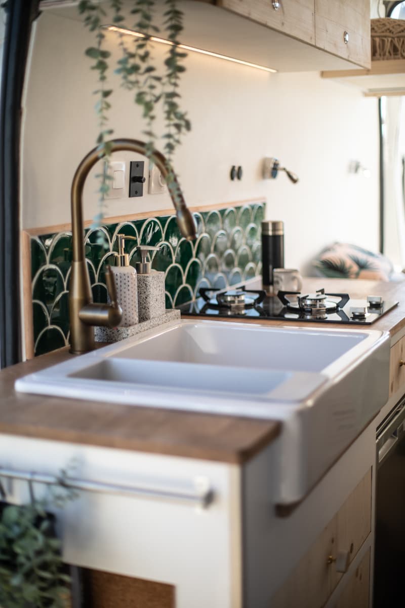 L'éléphant - Vue 13