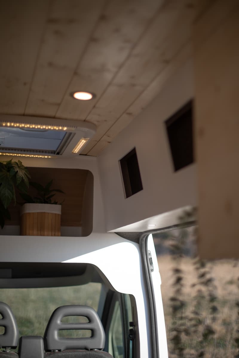 L'éléphant - Vue 16