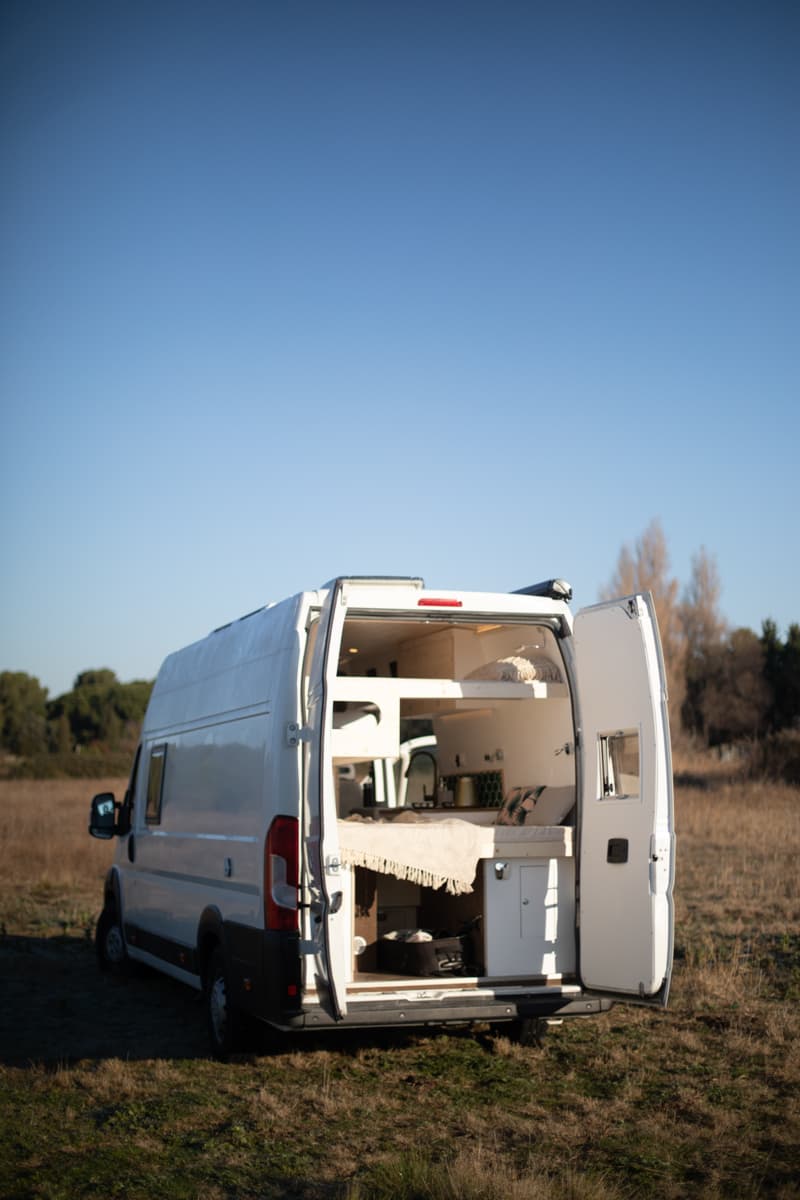 L'éléphant - Vue 18