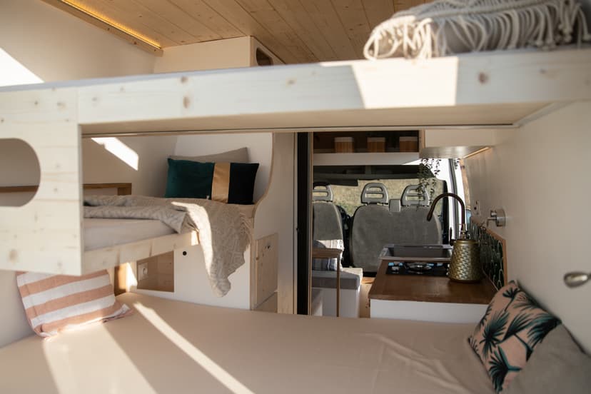 L'éléphant - Vue 21