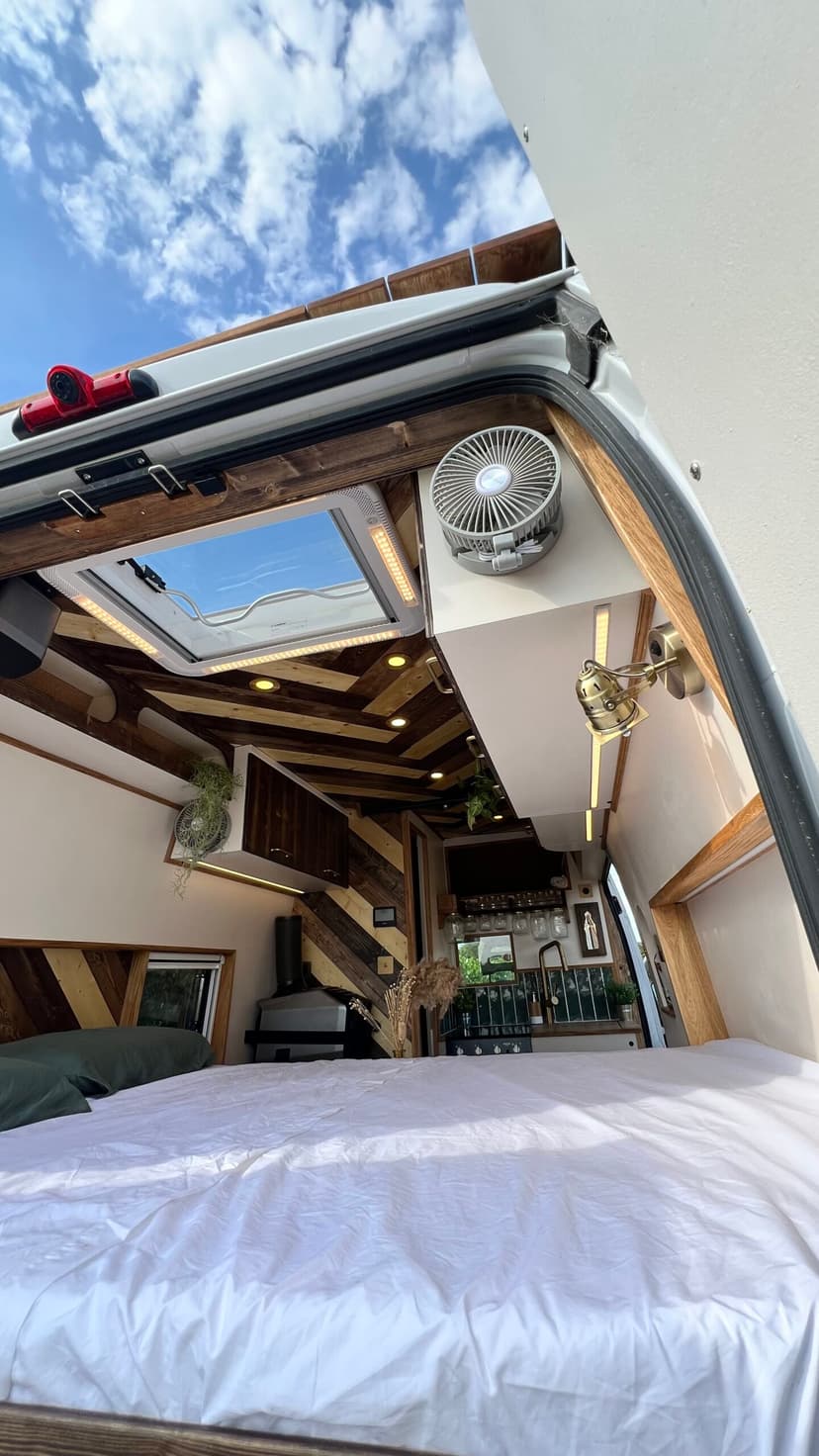 Salamèche - Vue arrière