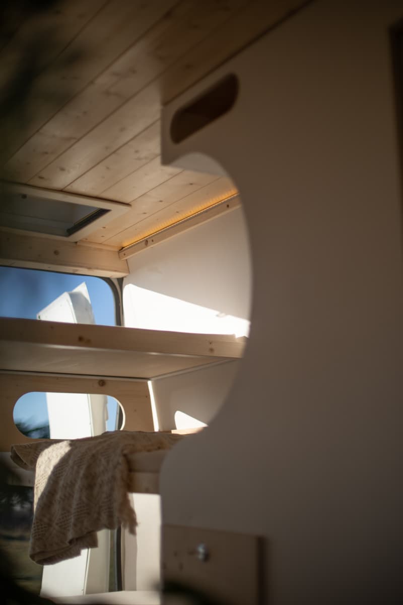 L'éléphant - Vue 24