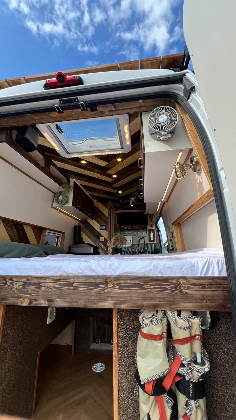 Salamèche - Détail 1