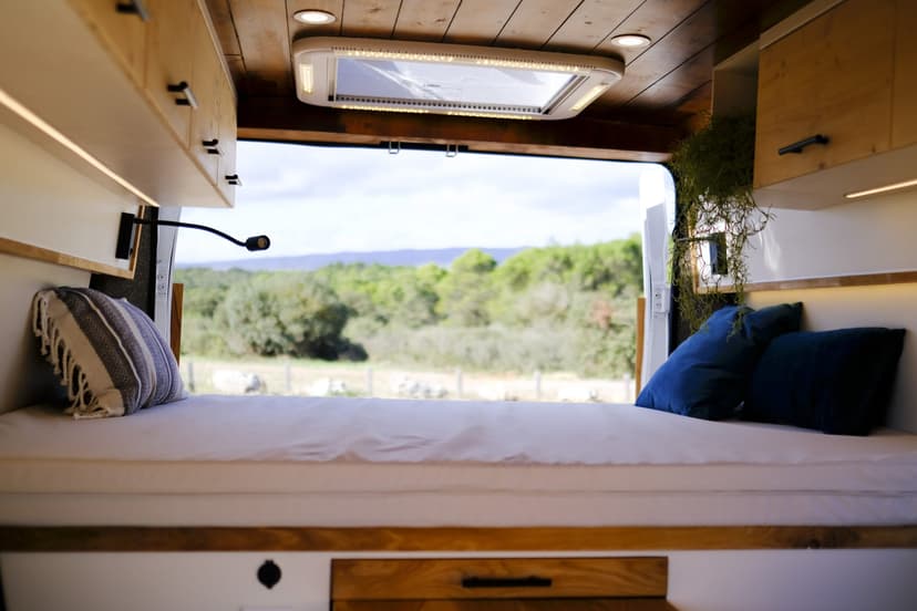 Mon Cousin - Détail 18