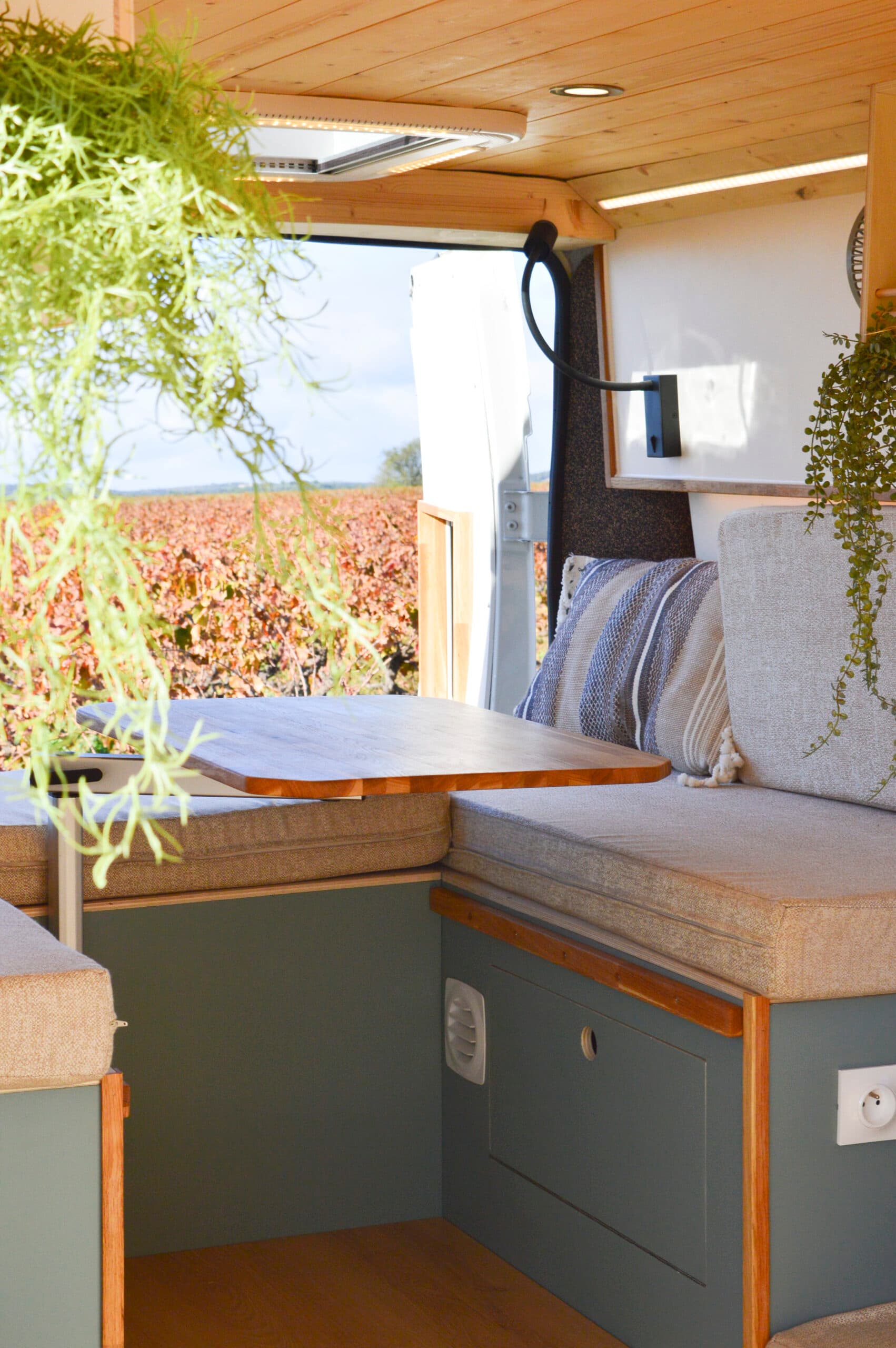 Bacchus - Extérieur 3