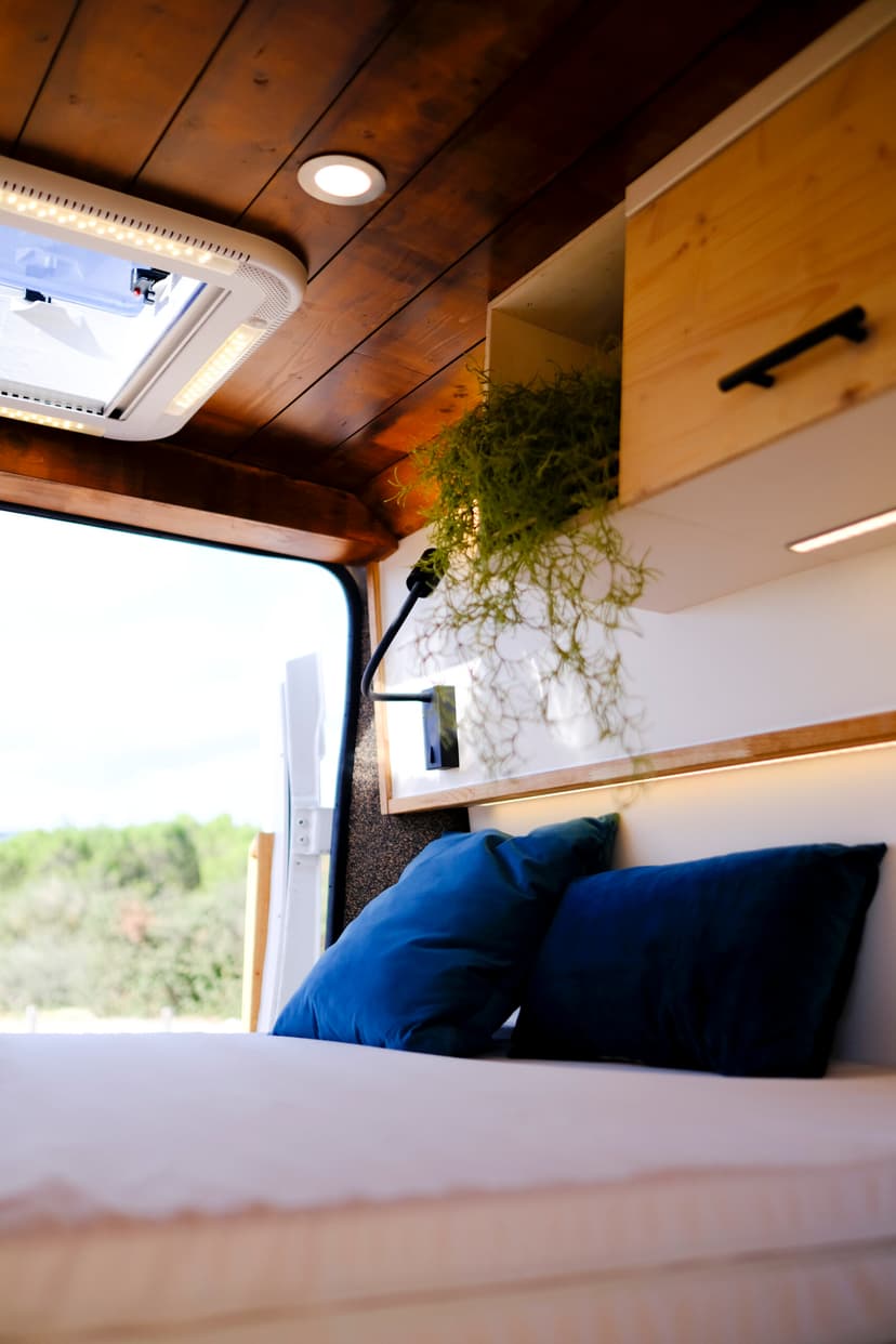 Mon Cousin - Détail 23