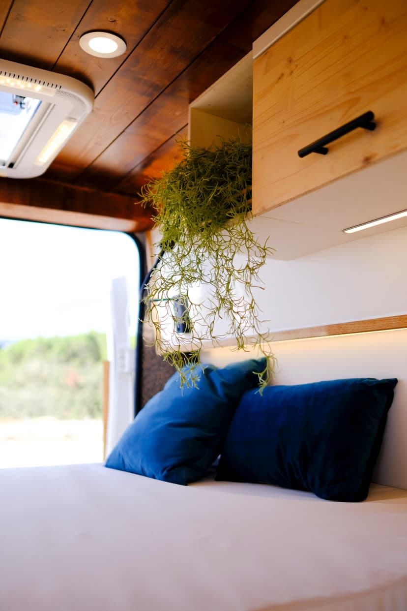 Mon Cousin - Détail 24