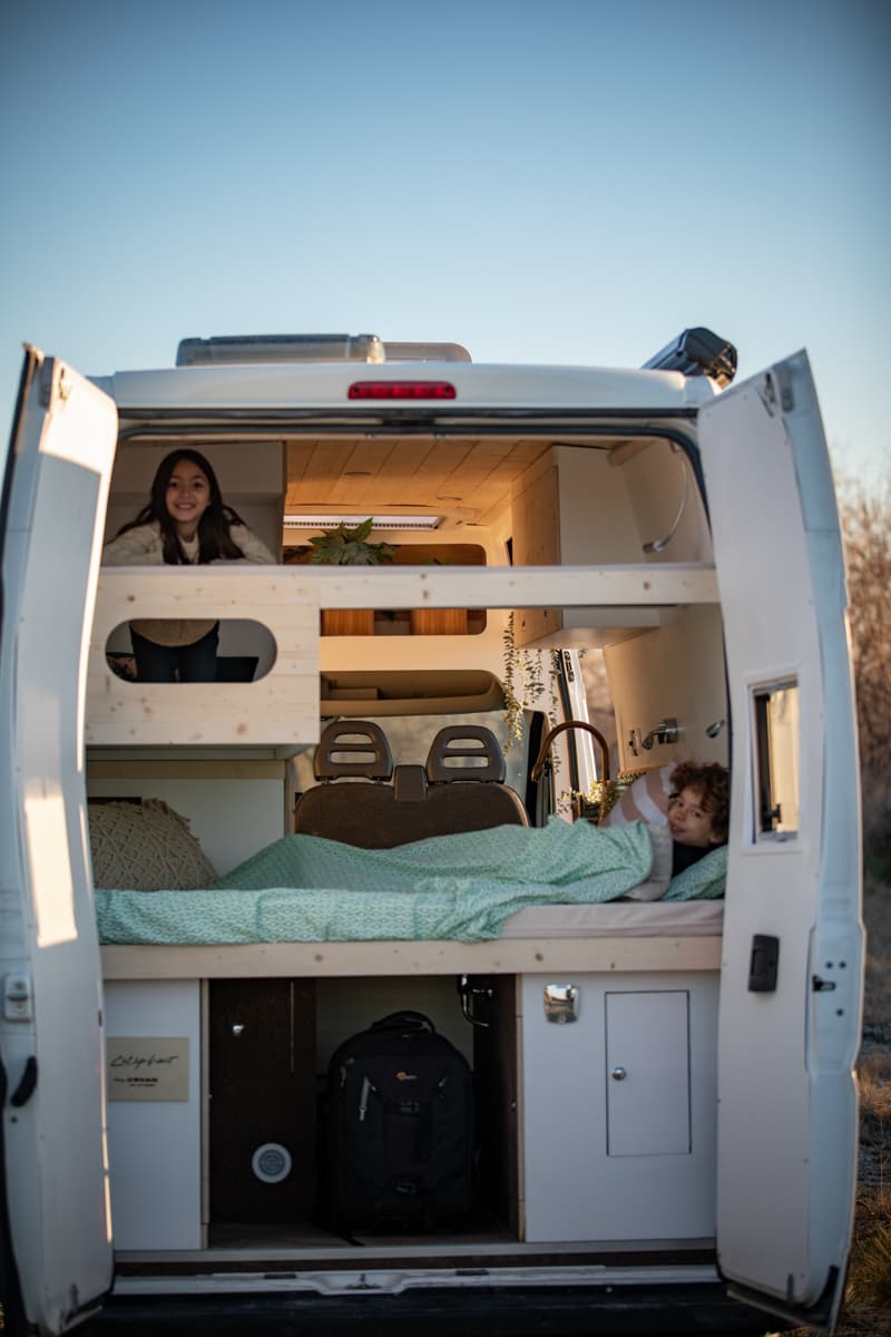 L'éléphant - Vue 4