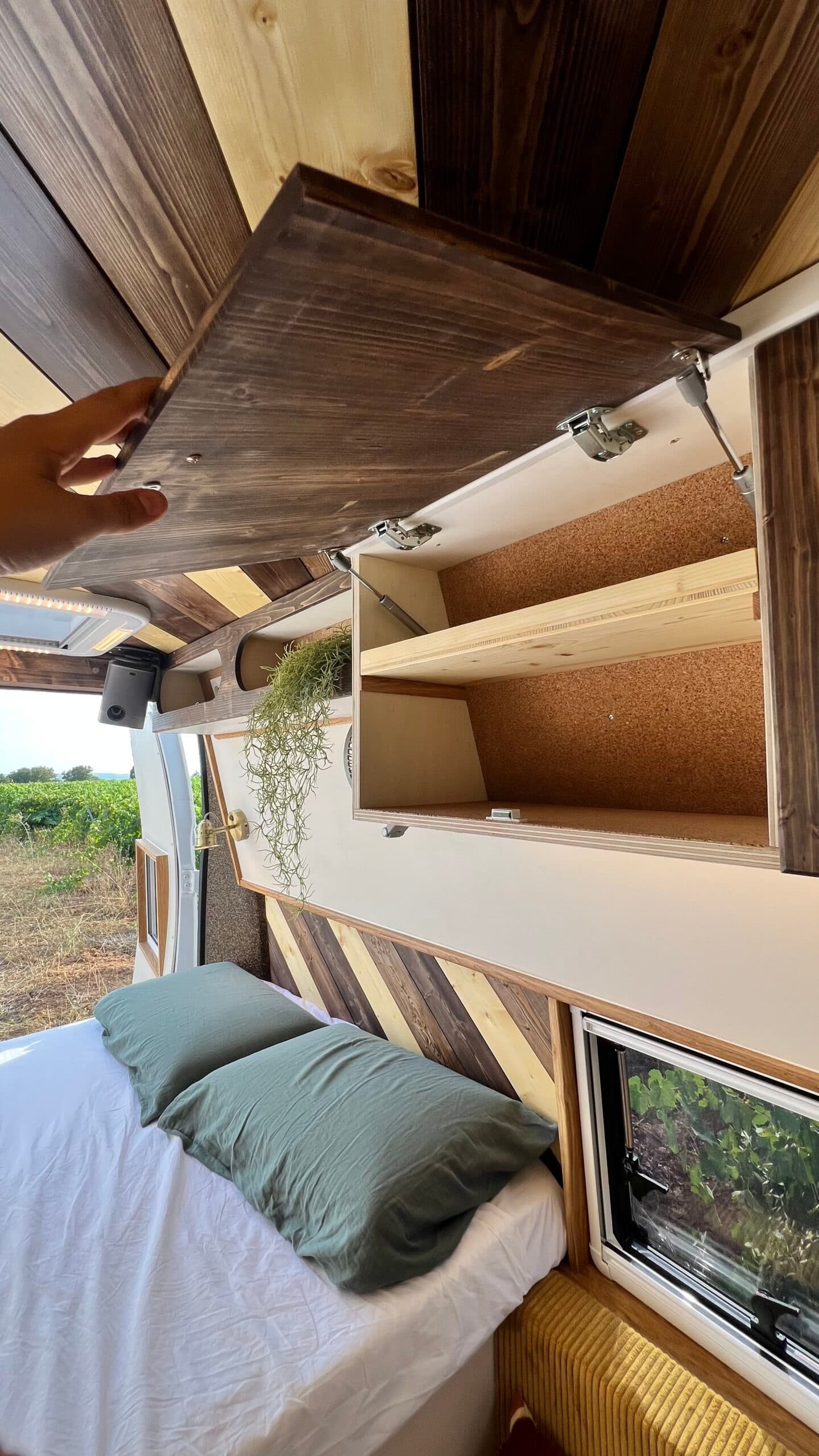 Salamèche - Lit double