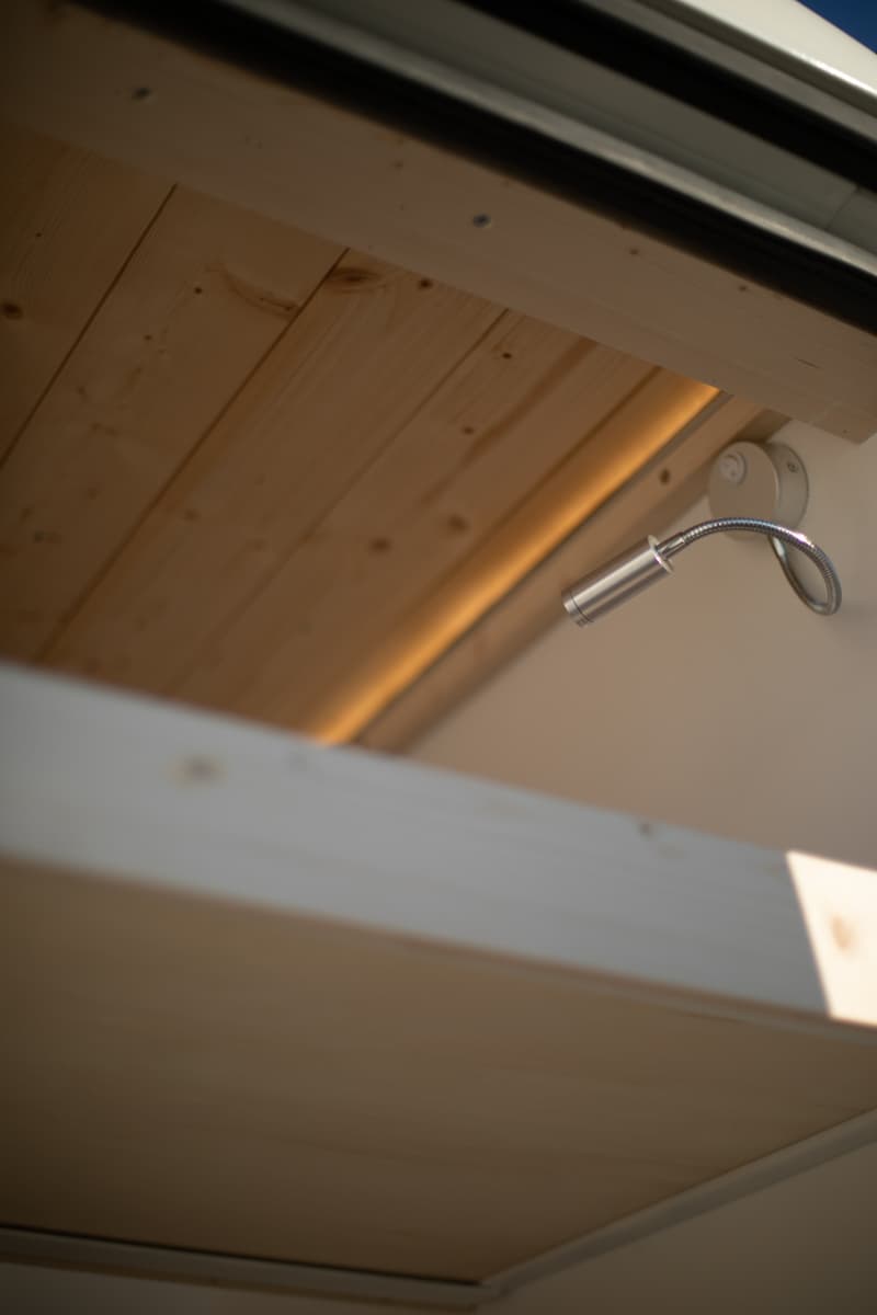 L'éléphant - Vue 9