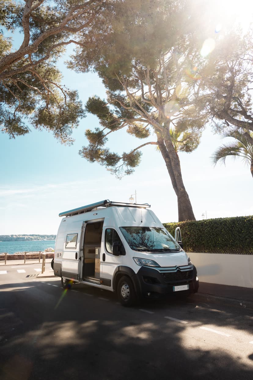 L'Indigo - Détail 6