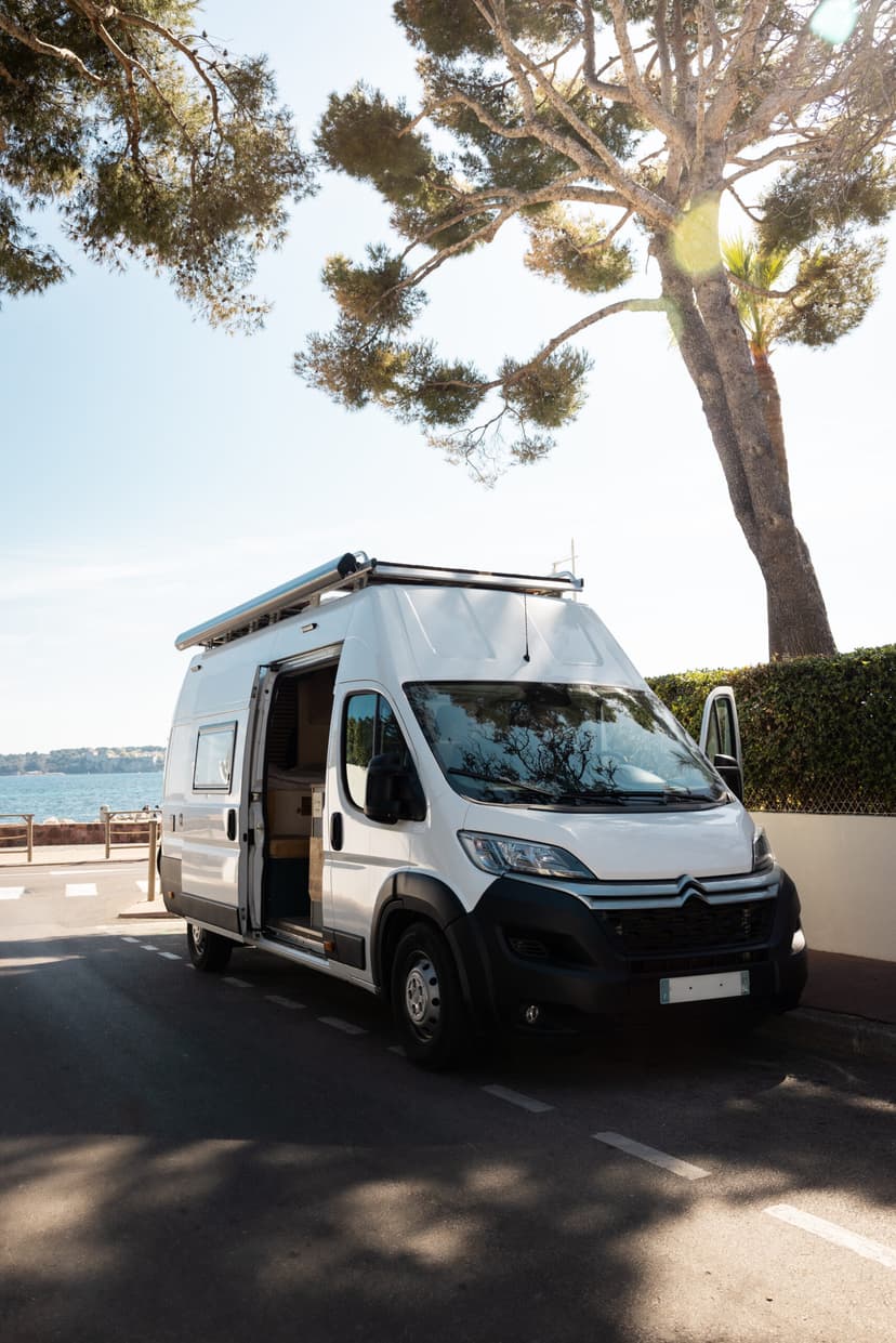 L'Indigo - Détail 7